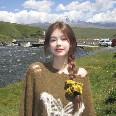 每天都和总裁斗智斗勇